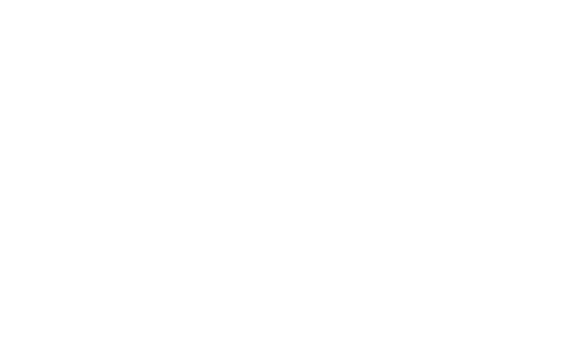 Dhon Studio Logo White